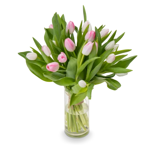Kytice tulipánů